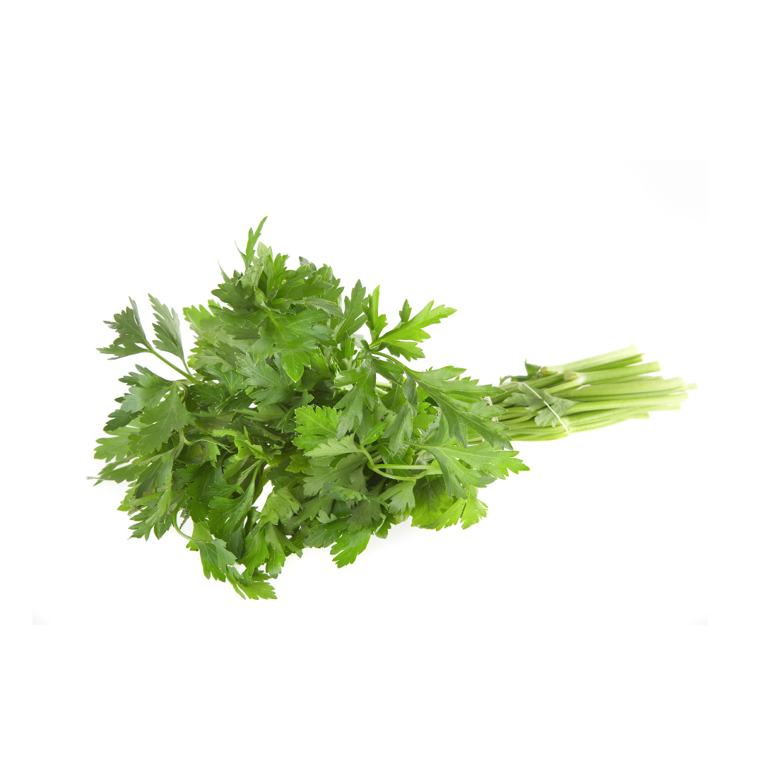 Parsley Continental Bendigo Fresh