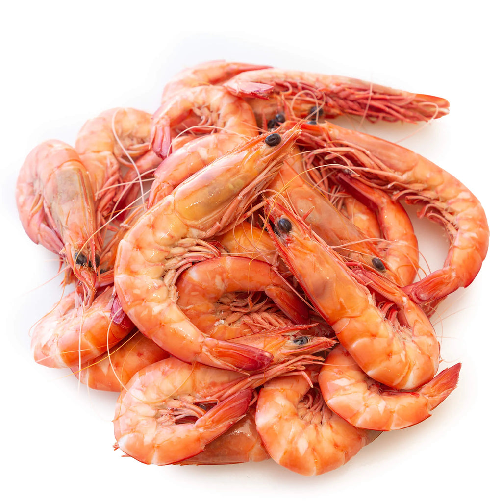 Cooked Prawns - Tiger U/10 Pacific Reef - KG