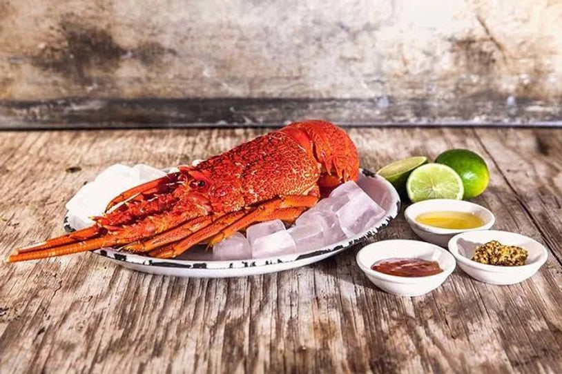 Large Southern Rock Lobster - Cooked (Whole) 1.2 - 1.3KG