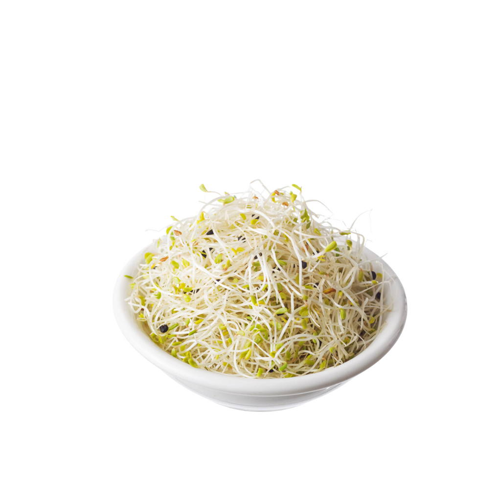 Sprouts Alfalfa Onion – Bendigo Fresh1