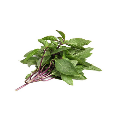 Basil - Thai