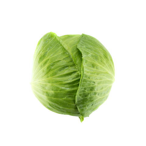 Cabbage - Green