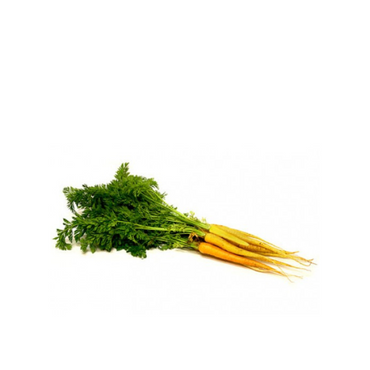 Carrots Dutch Yellow