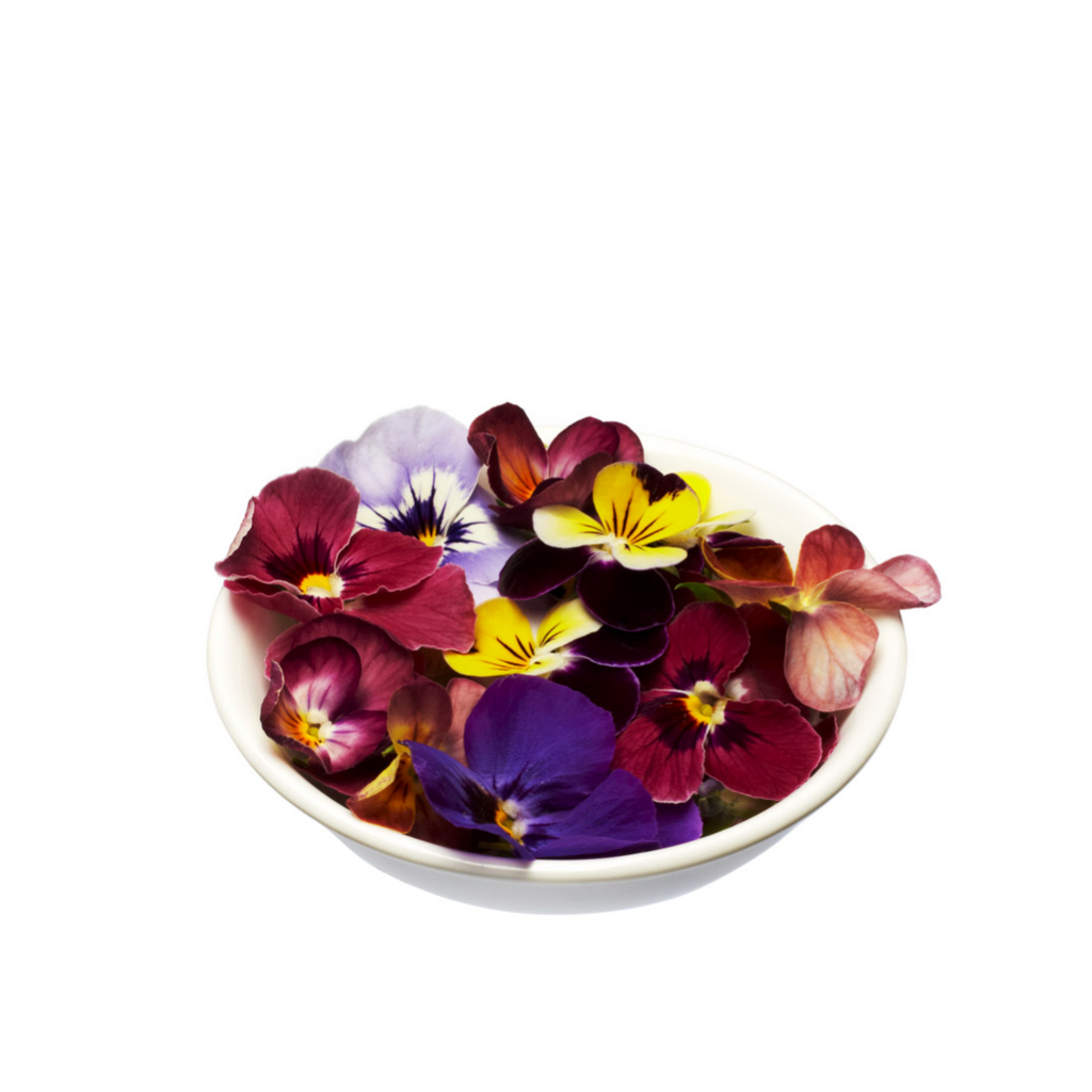 Flowers Edible Viola