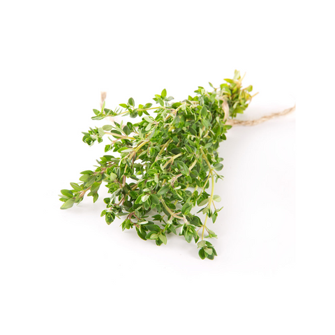 Thyme - Lemon