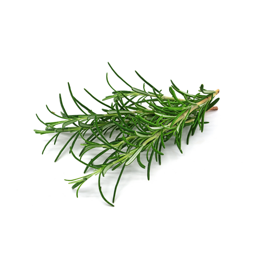 Rosemary