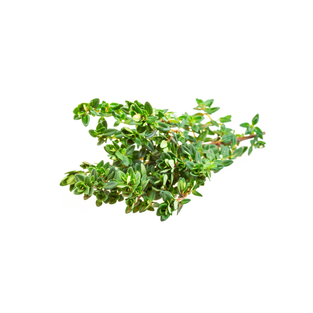 Thyme