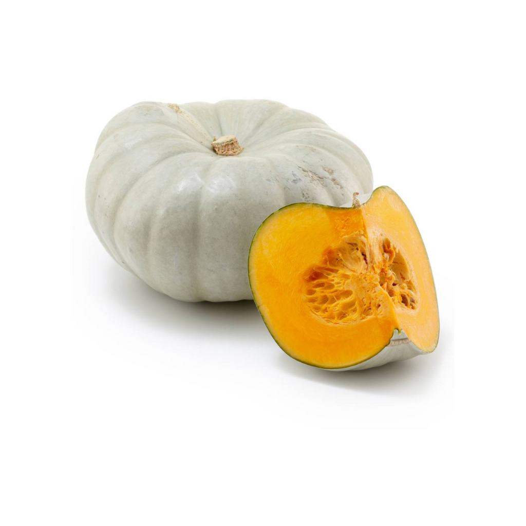 Pumpkin - Grey Half