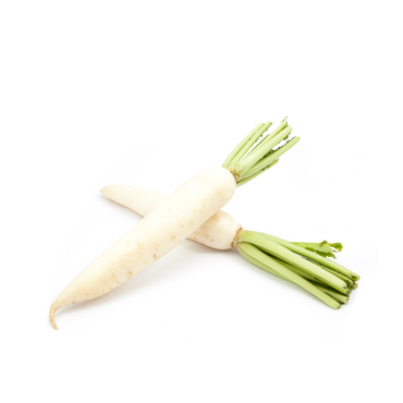 Radish - Daikon