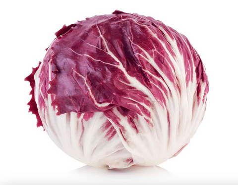 Radicchio