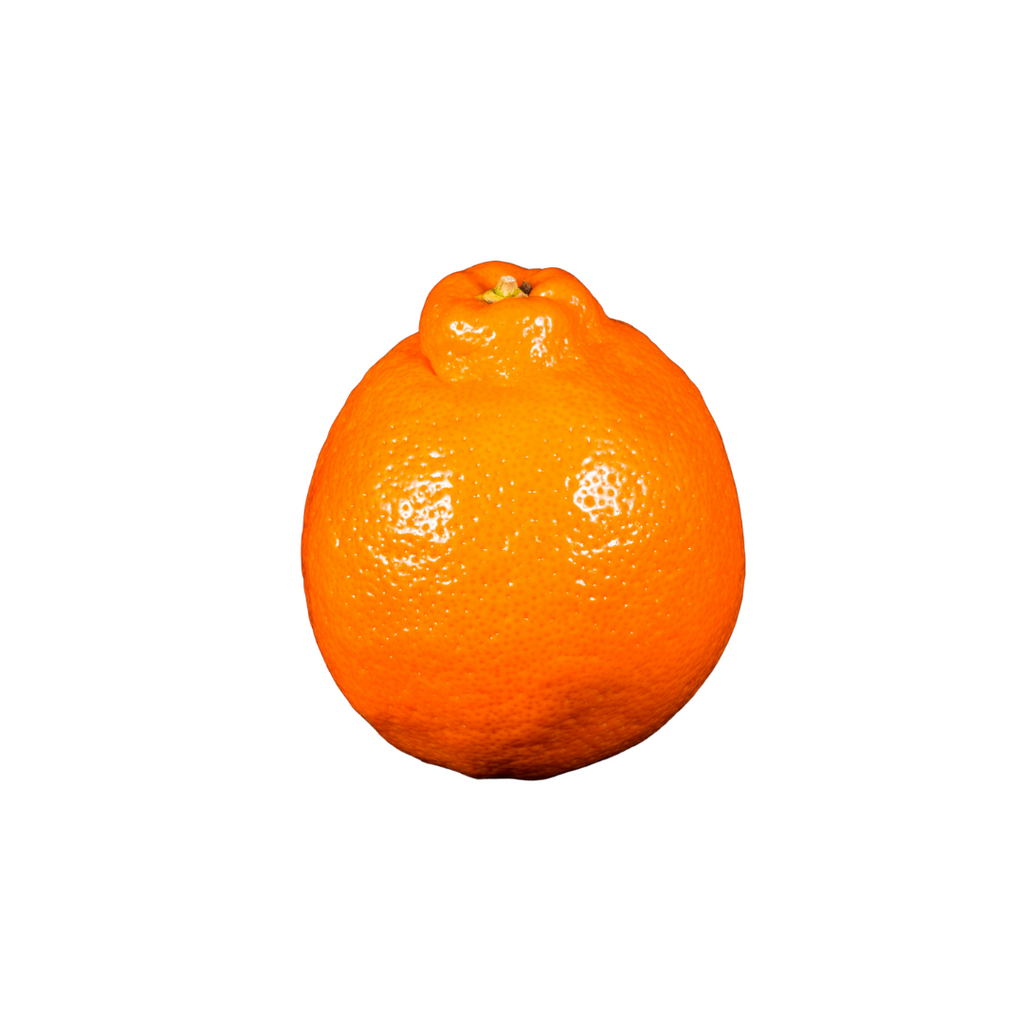 Tangelo