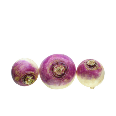 Turnip