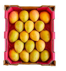 Mango Tray - KP's